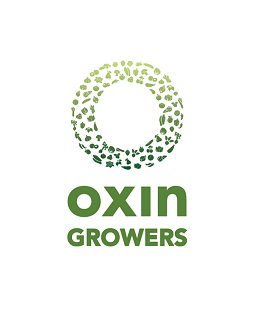 Oxin